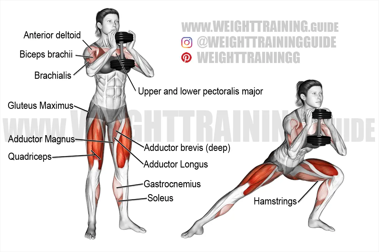 Dumbbell Side Lunges