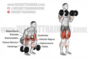 Dumbbell squat to dumbbell curl exercise instructions and video