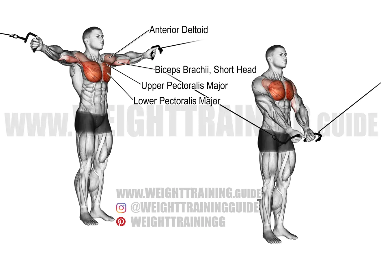 Standing high to low cable fly exercise