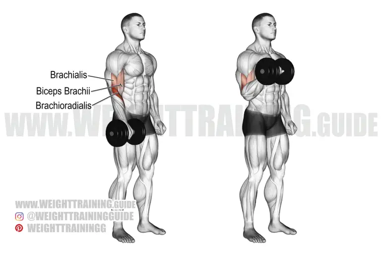 One-arm dumbbell reverse curl