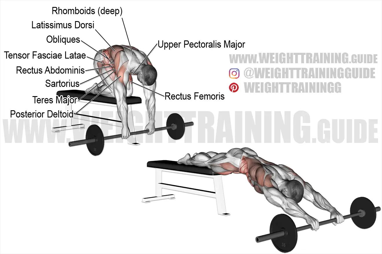Barbell rollout from bench exercise