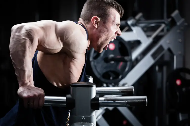 How to best train your triceps for muscle growth