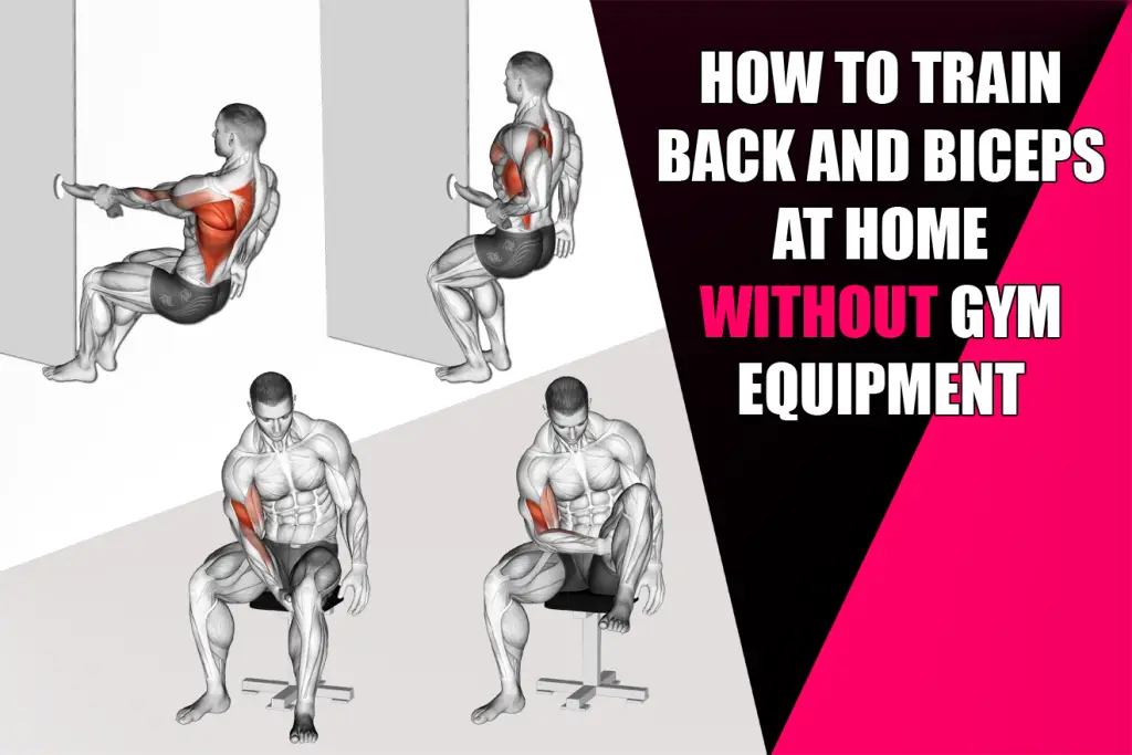 how-to-train-your-back-and-biceps-at-home-without-gym-equipment