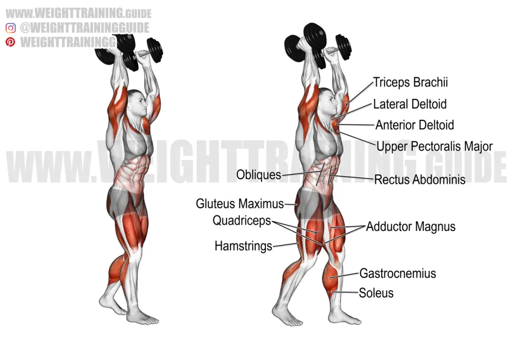 Dumbbell overhead carry exercise instructions and video