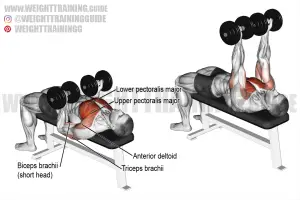 Reverse-grip dumbbell bench press exercise instructions and video