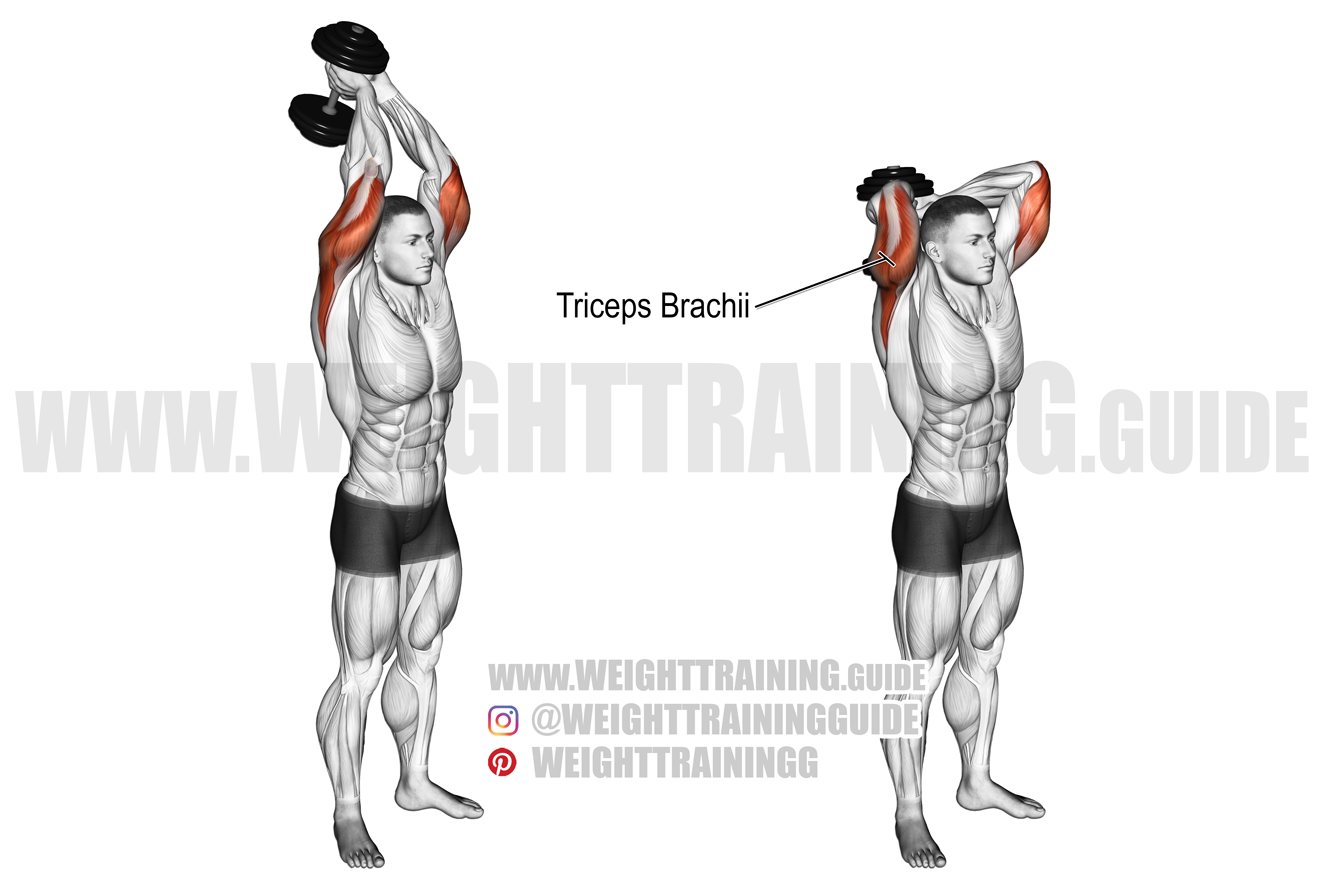 Standing dumbbell overhead triceps extension exercise