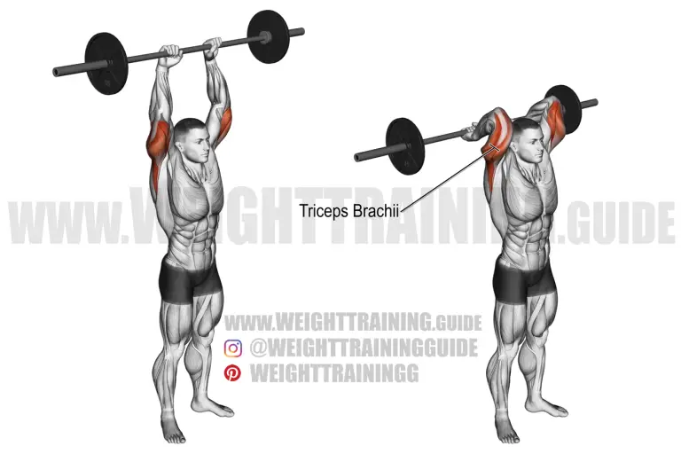 Standing overhead barbell triceps extension