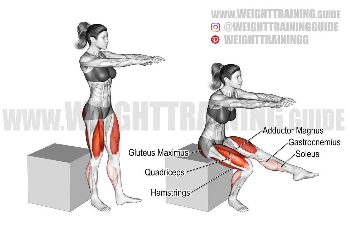 Pistol box squat exercise