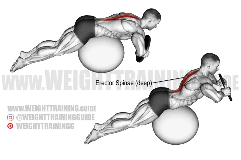 Weighted back extension on stability ball