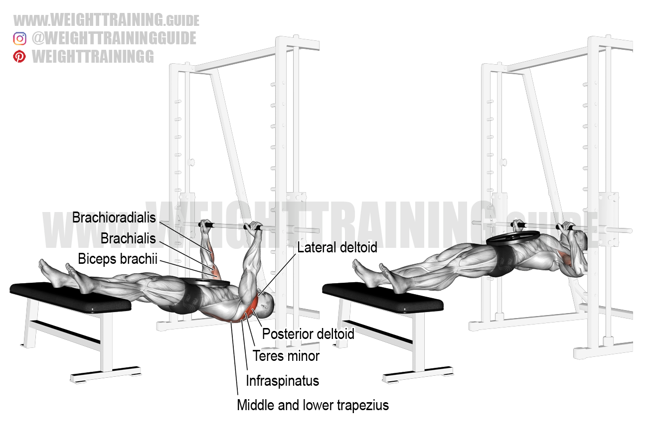 Weighted inverted rear delt row exercise