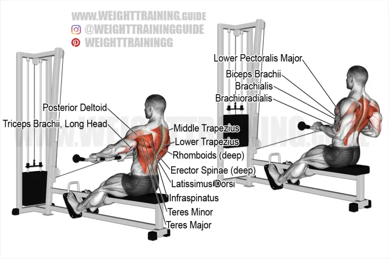 Straight-back seated cable row with straight bar