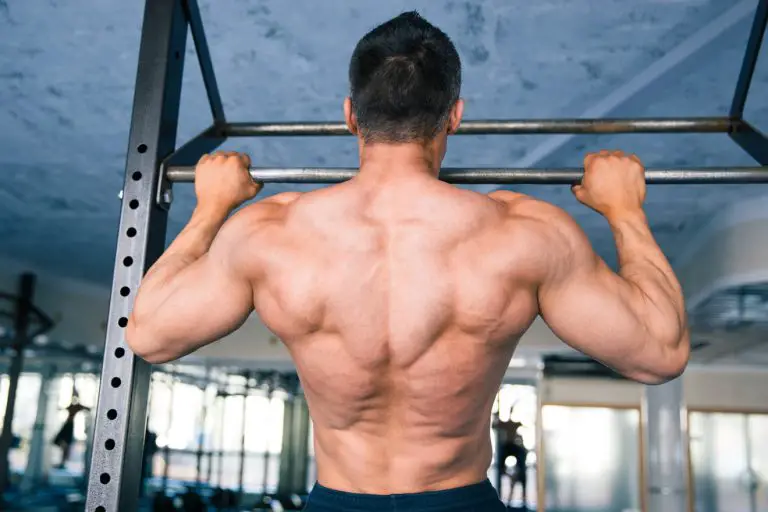 back muscles of a man doing a pull up